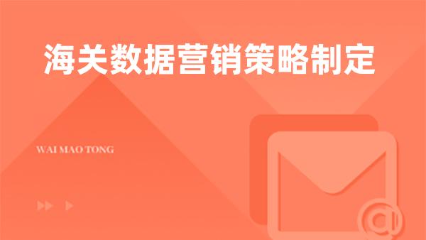 海关数据营销策略制定